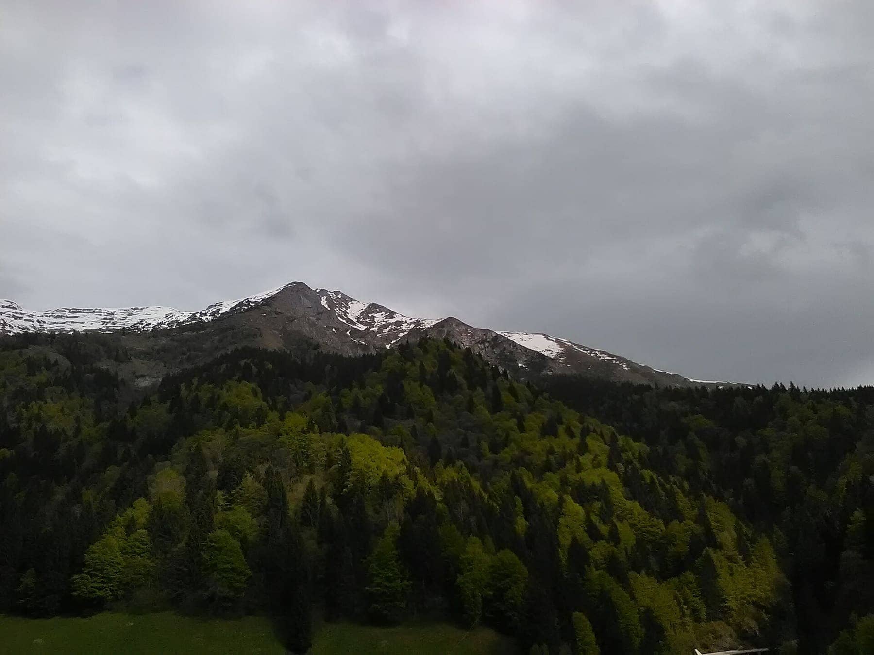 La cresta ancora innevata vista dai prati di Plaza Arera, sopra Zambla Alta, tra faggete e abeti