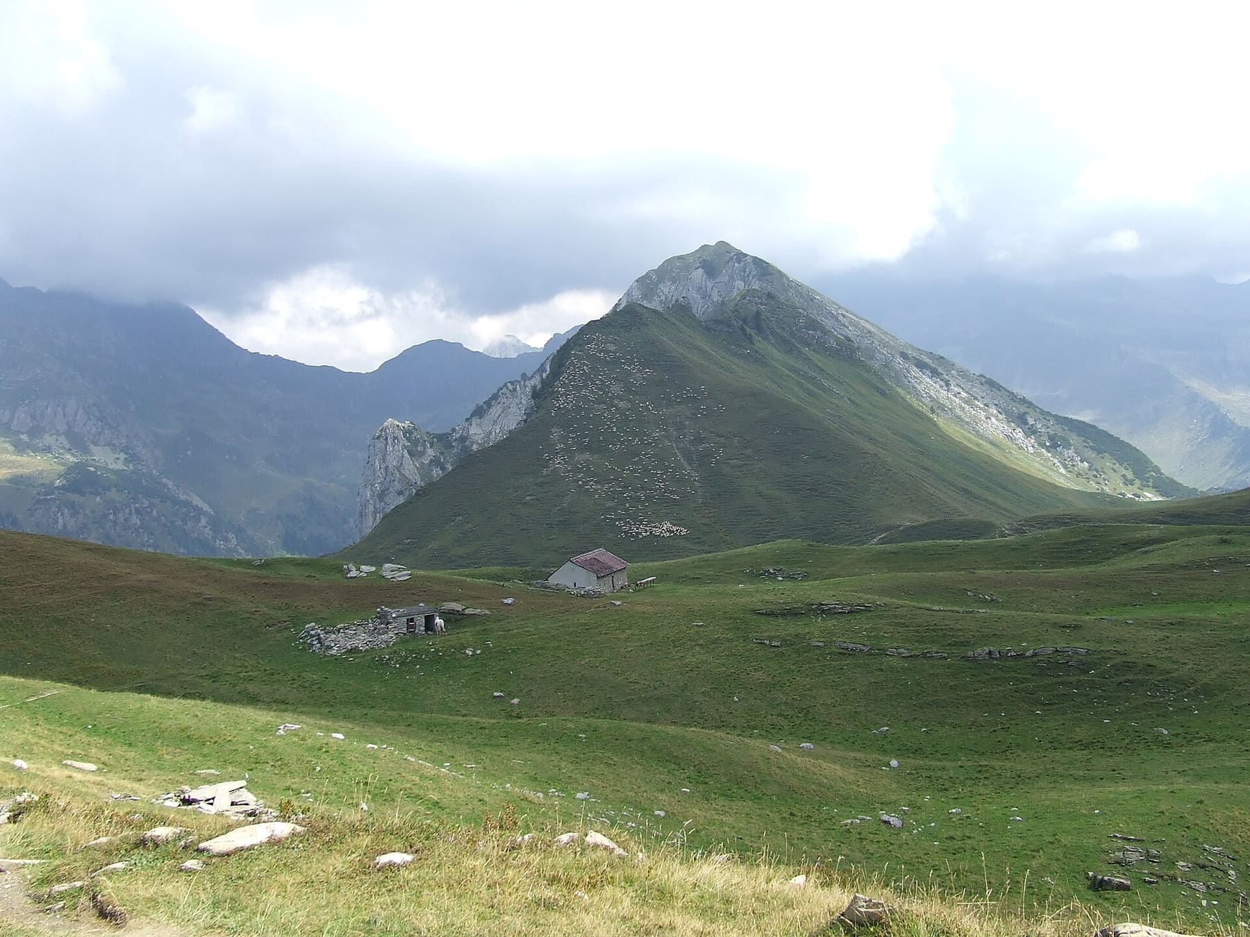 Pascoli d'alta quota e baite d'alpeggio lungo il Sentiero dei Fiori, attorno al Pizzo Arera sopra Oltre il Colle